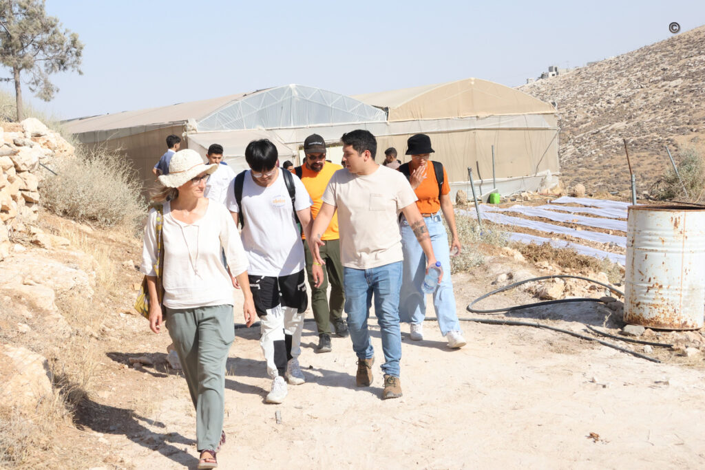 Volunteer Programs in Jordan
